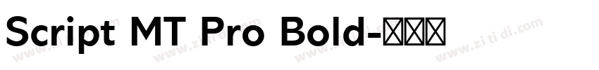 Script MT Pro Bold字体转换 Script MT Pro Bold字体转换